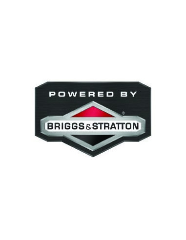 Groupe électrogène 3000W 12H - Briggs & Stratton