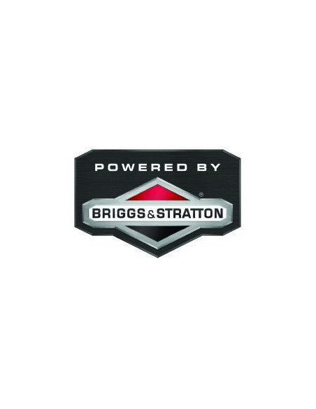 Groupe électrogène 3000W 12H - Briggs & Stratton