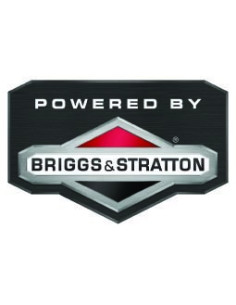 Groupe électrogène 6000W 11H - Briggs & Stratton 2