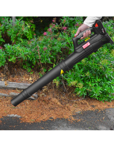 Souffleur rechargeable 20 V lithium - Elem Garden
