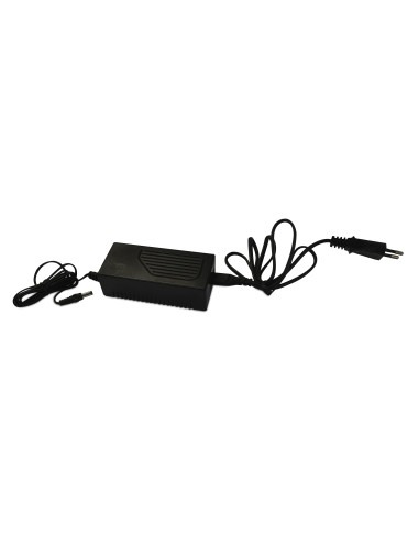 Chargeur de batterie pour tondeuse 36V - Elem Gard