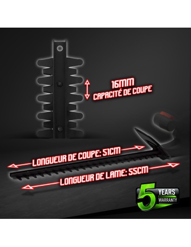 Taille haies 20v max sans batterie - Lame 55cm - Capacité de