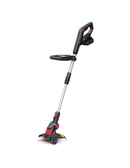 COUPE BORD.20V 25CM BAT LIT 2AMP CH.RAP.