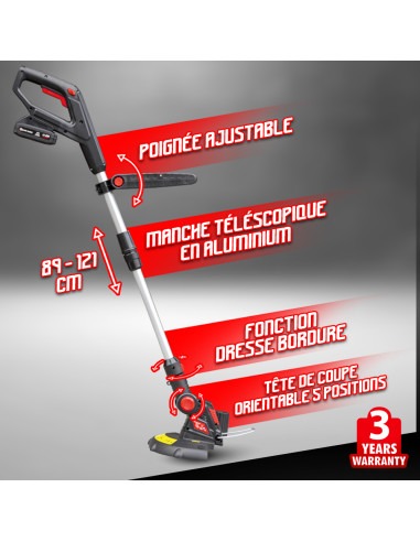 COUPE BORD.20V 25CM BAT LIT 2AMP CH.RAP.