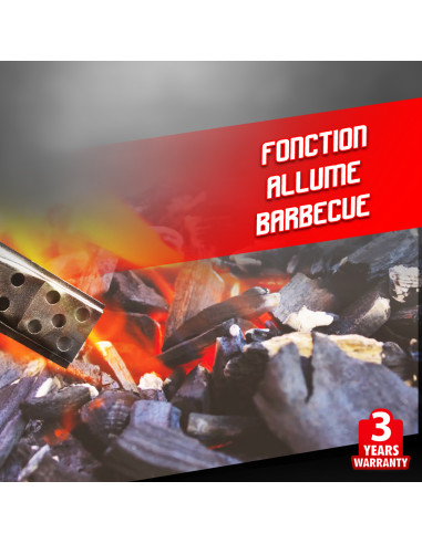 Désherbeur air chaud 2000W - Elem Garden Technic