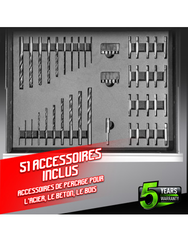 Perceuse visseuse 18V avec percussion -2 batteries