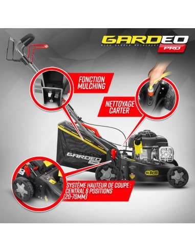 Tondeuse thermique autotractée avec moteur Briggs and