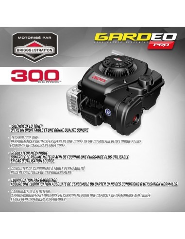 Tondeuse thermique autotractée avec moteur Briggs and