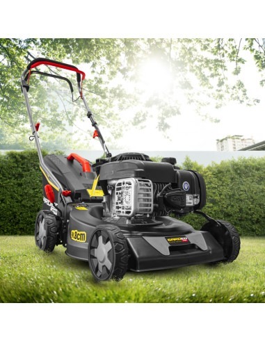 Tondeuse thermique autotractée avec moteur Briggs and