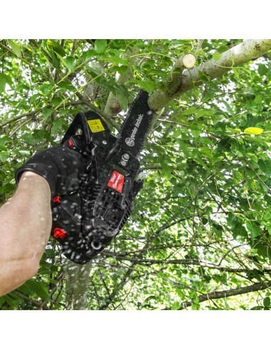 Elagueuse thermique 25cc - guide 25cm - 2 temps - Livrée avec 2