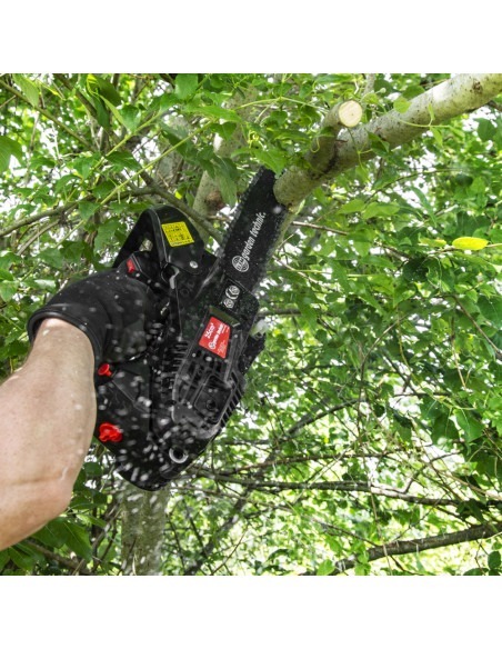 Elagueuse thermique 25cc - guide 25cm - 2 temps - Livrée avec 2