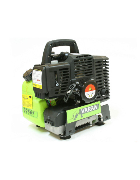 Groupe electrogene portable inverter 1000W 230V, moteur 42.7cc 2CV 2T