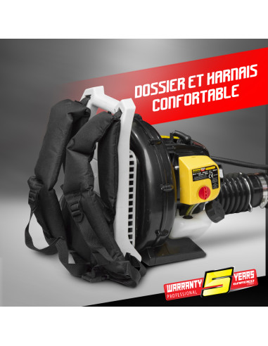 Souffleur thermique dorsal 26CC + Acc corniche