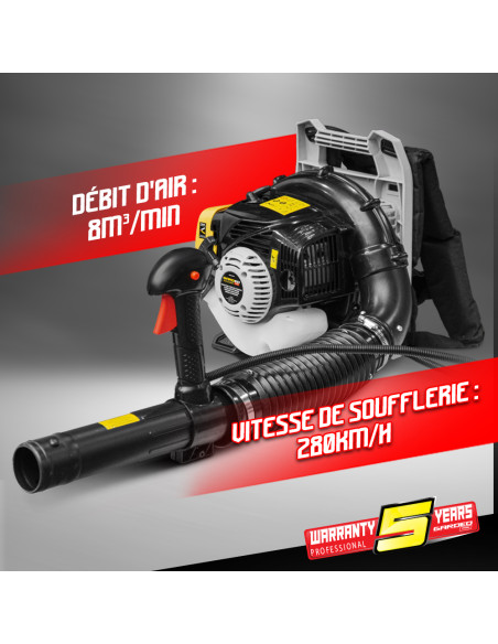 Souffleur thermique dorsal 26CC + Acc corniche