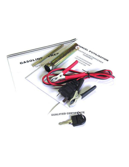 Groupe électrogène Essence 6.0 kW 2 x 230V 1 x 12VDC