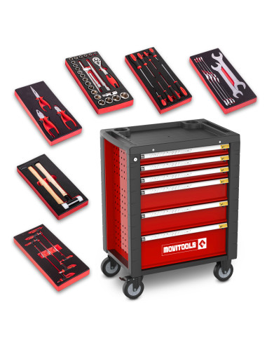 Servante d'atelier 6 tiroirs + 54 accessoires