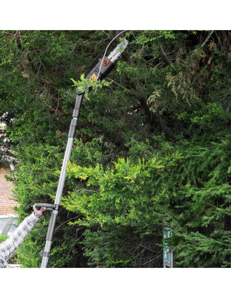 Scie à ébrancher sur perche 710W Guide Oregon 24cm